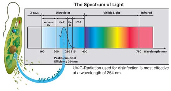 scienceUV-Cspectrum.jpg