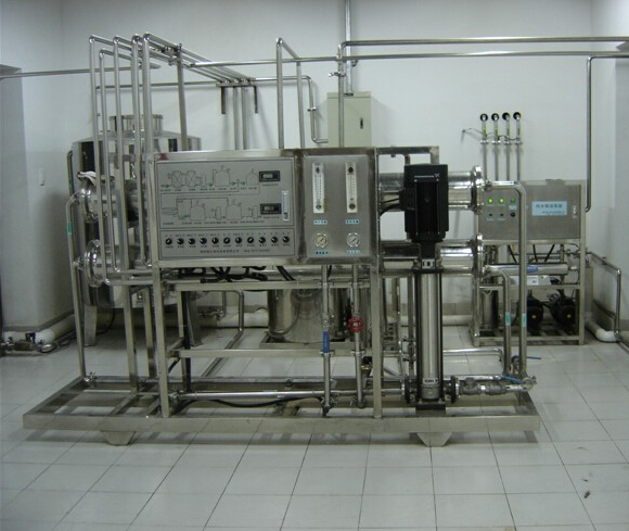 water filter in plant.jpg