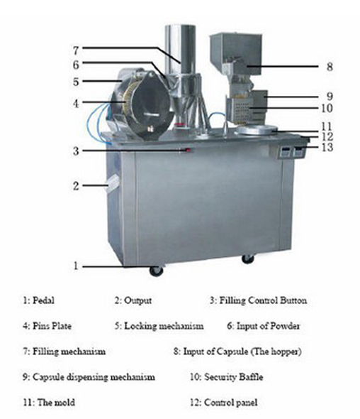 structure of capsule filling.jpg