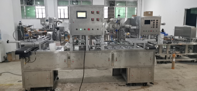 automatic inline trays sealing machine (3).jpg