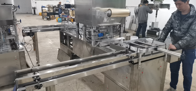 automatic inline trays sealing machine (5).jpg